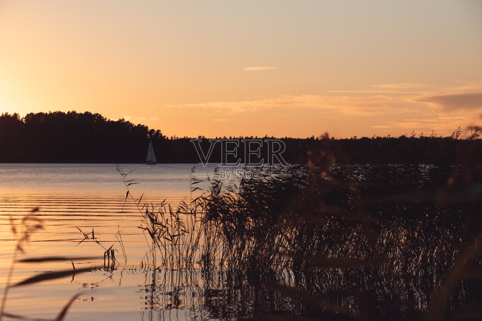 海湾上美丽的黄色夕阳和一艘白色的帆船照片摄影图片