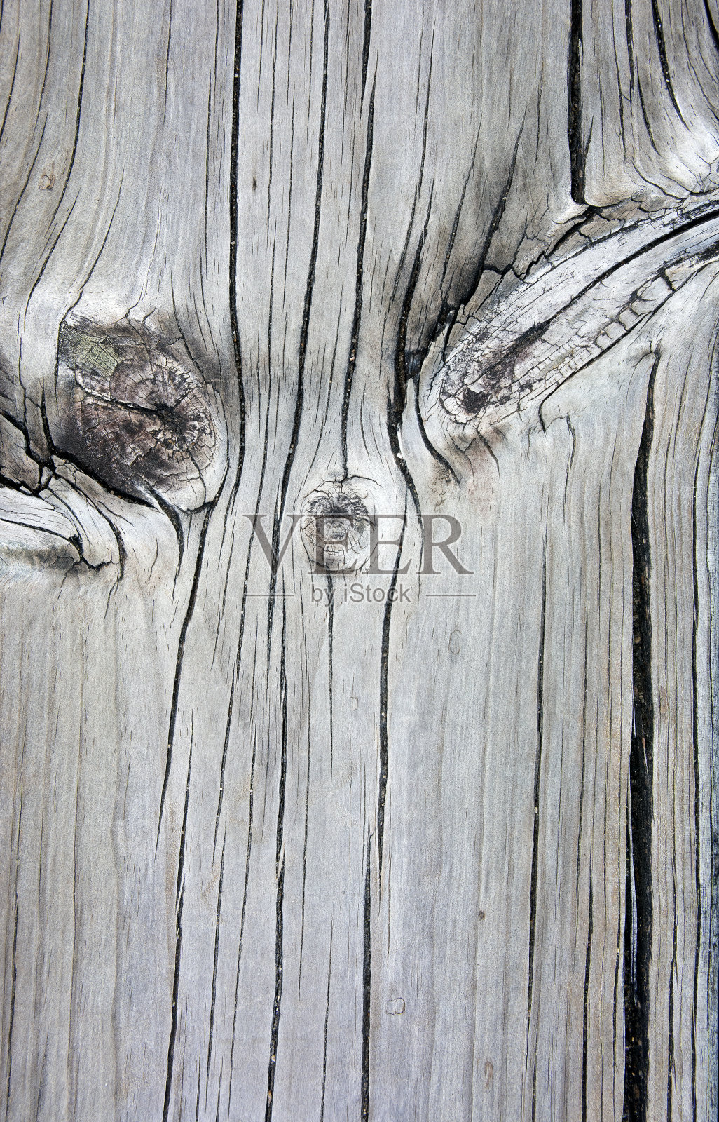 在木头上看到一张可辨认的脸的幻觉。照片摄影图片