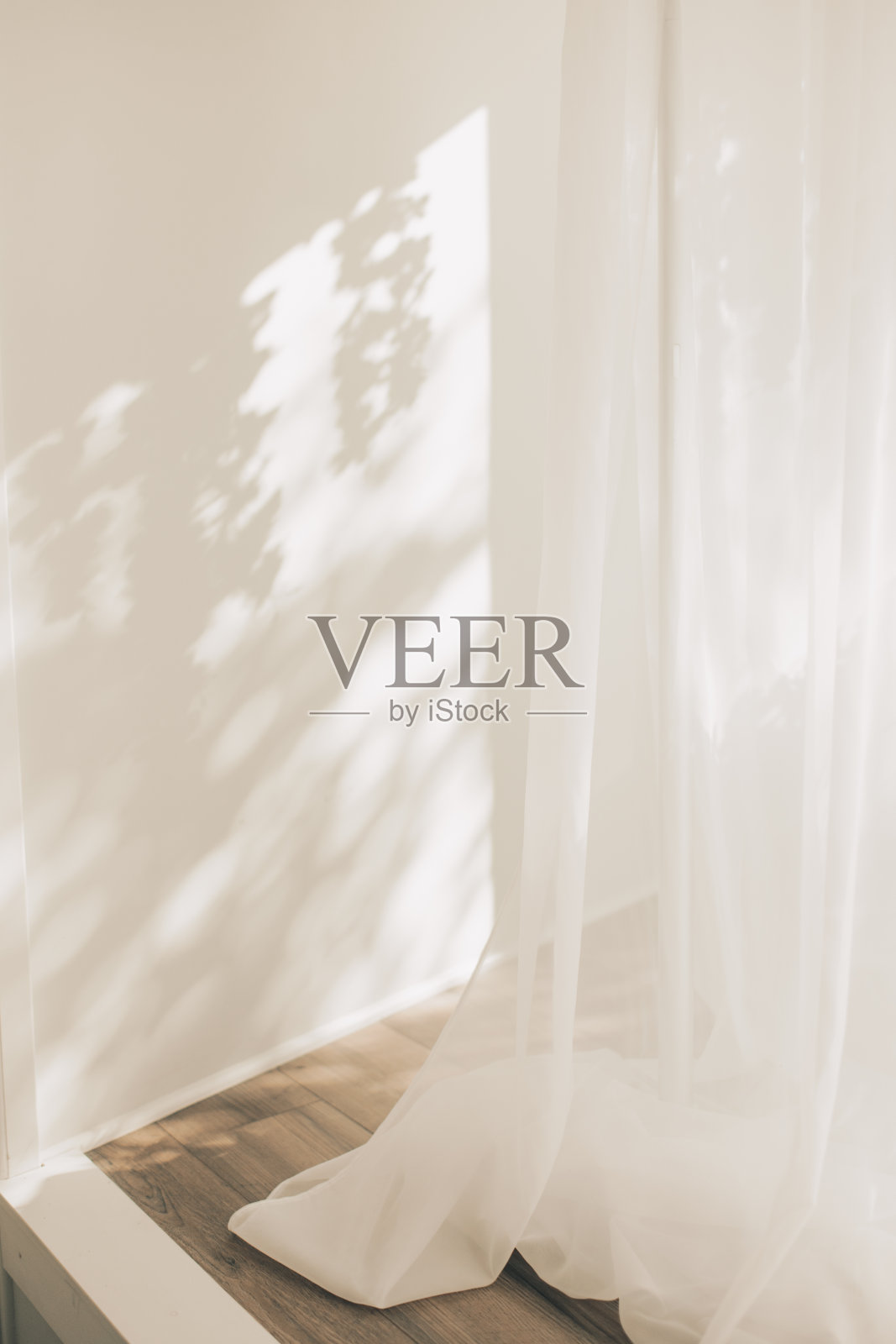 窗沿上的窗帘与阳光创造了植物的阴影照片摄影图片