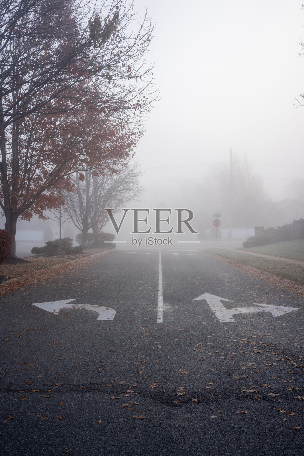 一个雾蒙蒙的秋天早晨，住宅区道路上空荡荡的转弯车道照片摄影图片