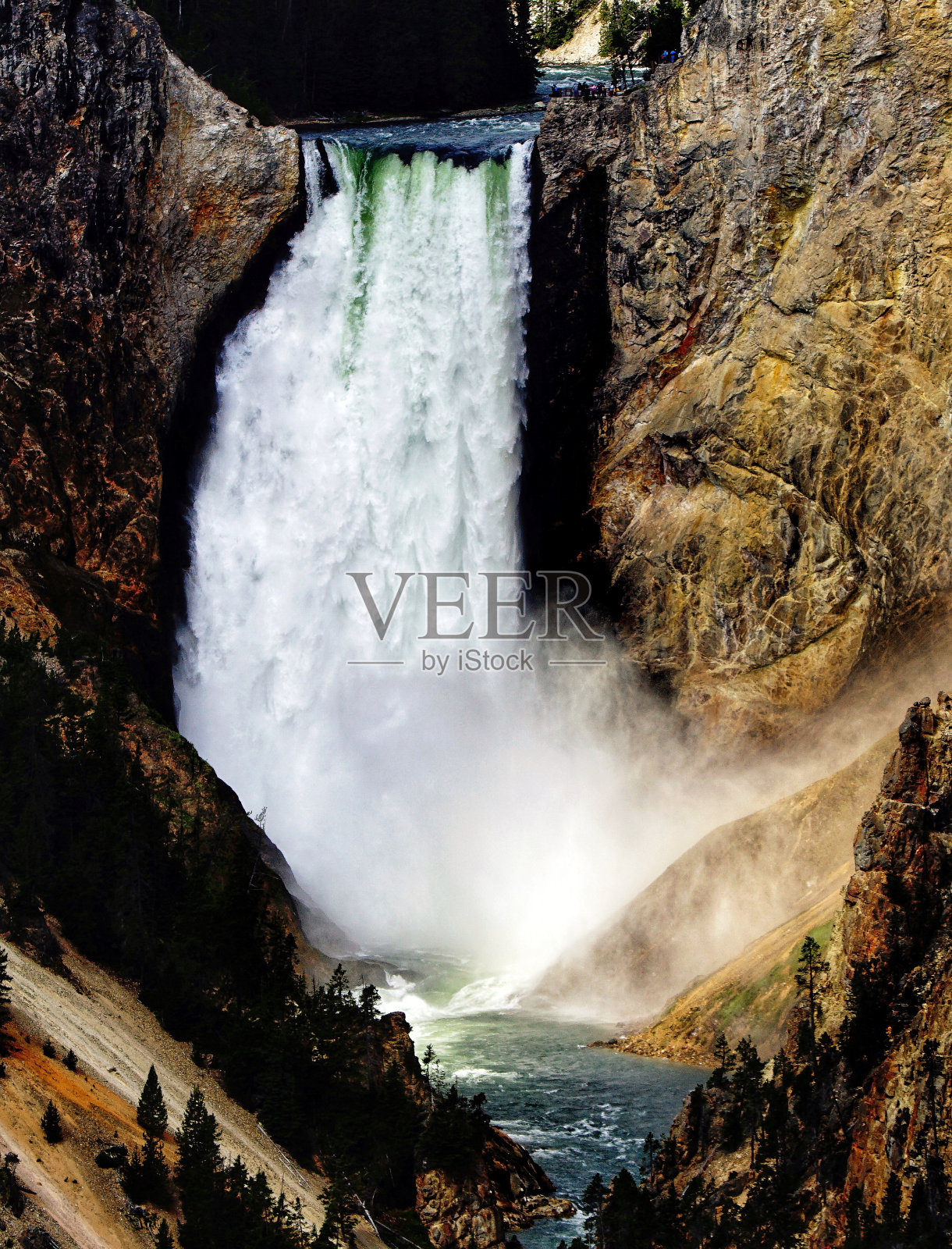 大峡谷黄石瀑布河在黄石国家公园，怀俄明州，蒙大拿州。西北。黄石公园是夏季观赏自然景观的仙境。地热。照片摄影图片