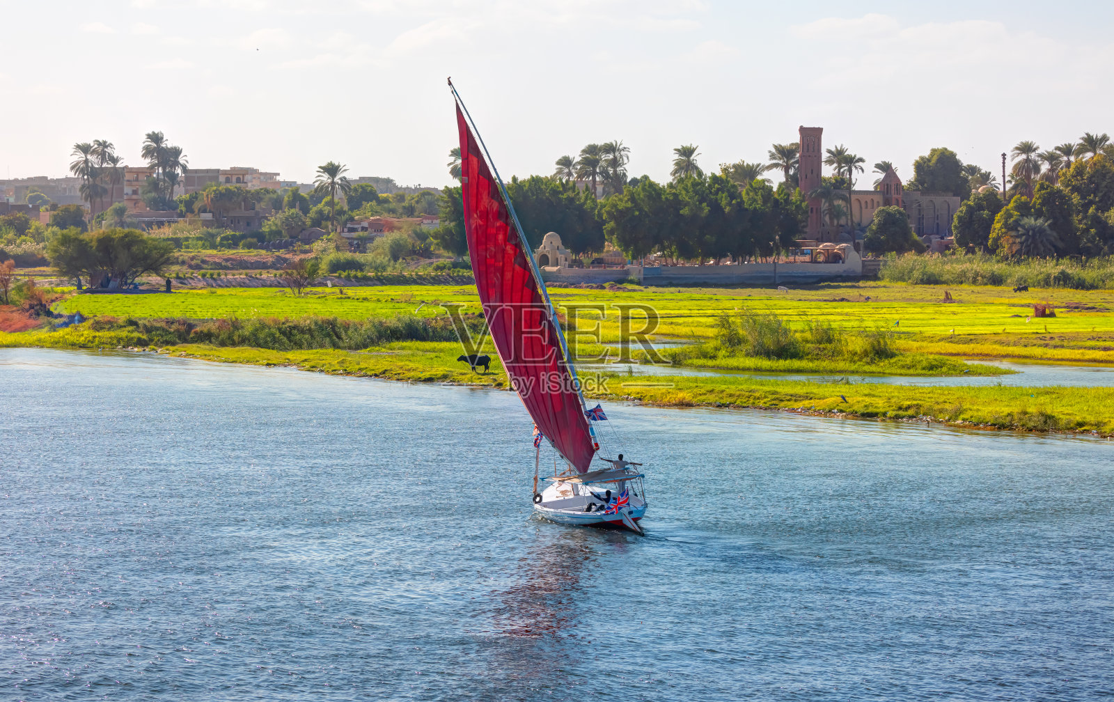 埃及阿斯旺尼罗河上的红色三角帆船照片摄影图片