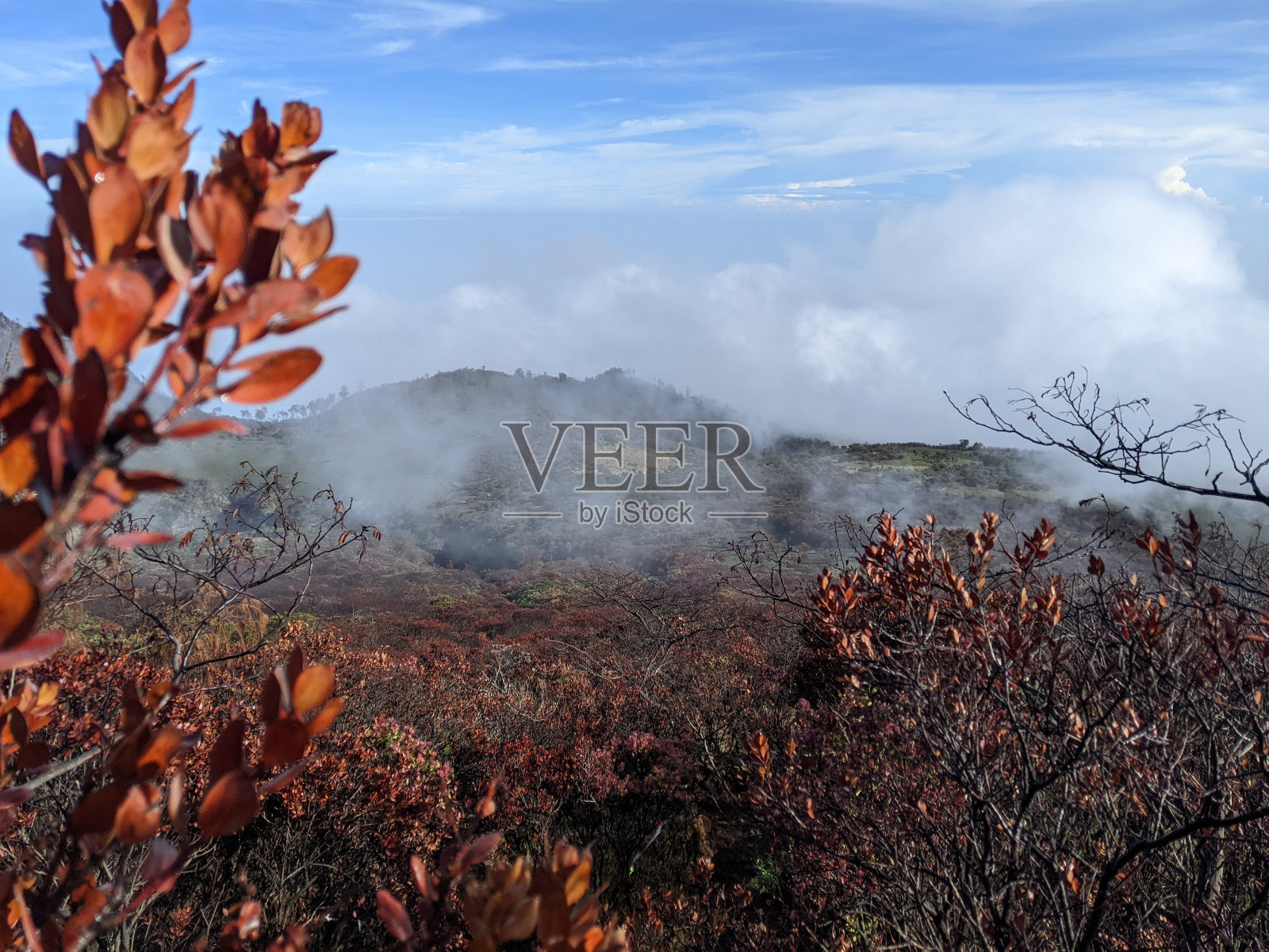 山Lawu照片摄影图片