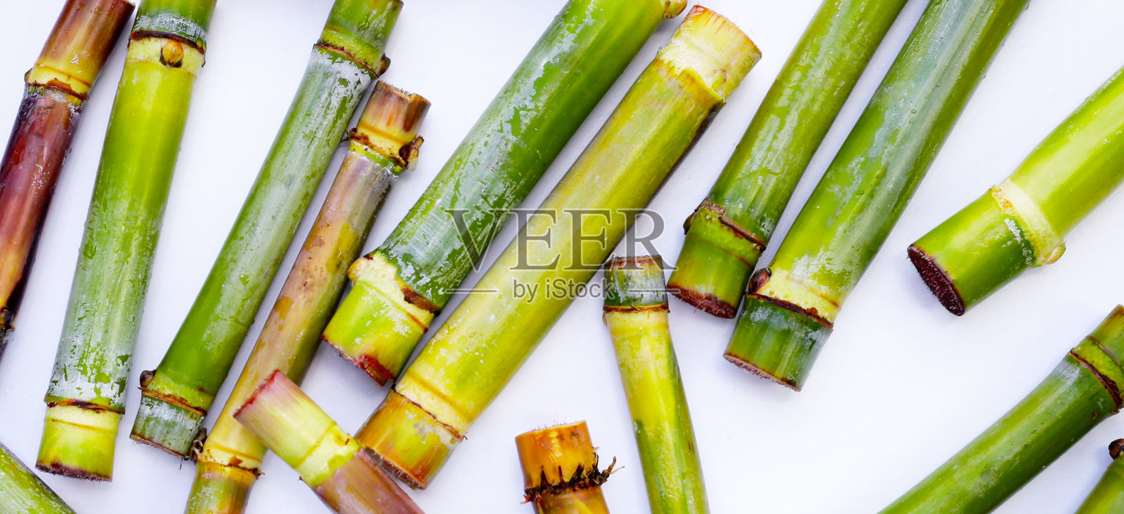 白色背景上的新鲜甘蔗。照片摄影图片
