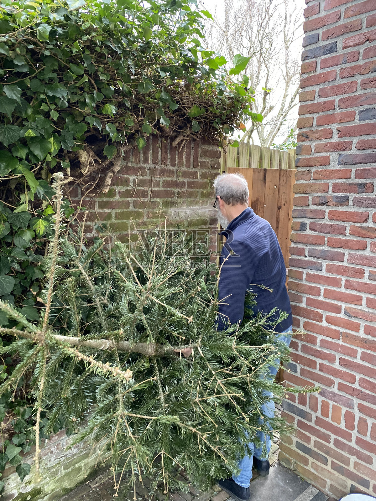 圣诞树已经做好了照片摄影图片