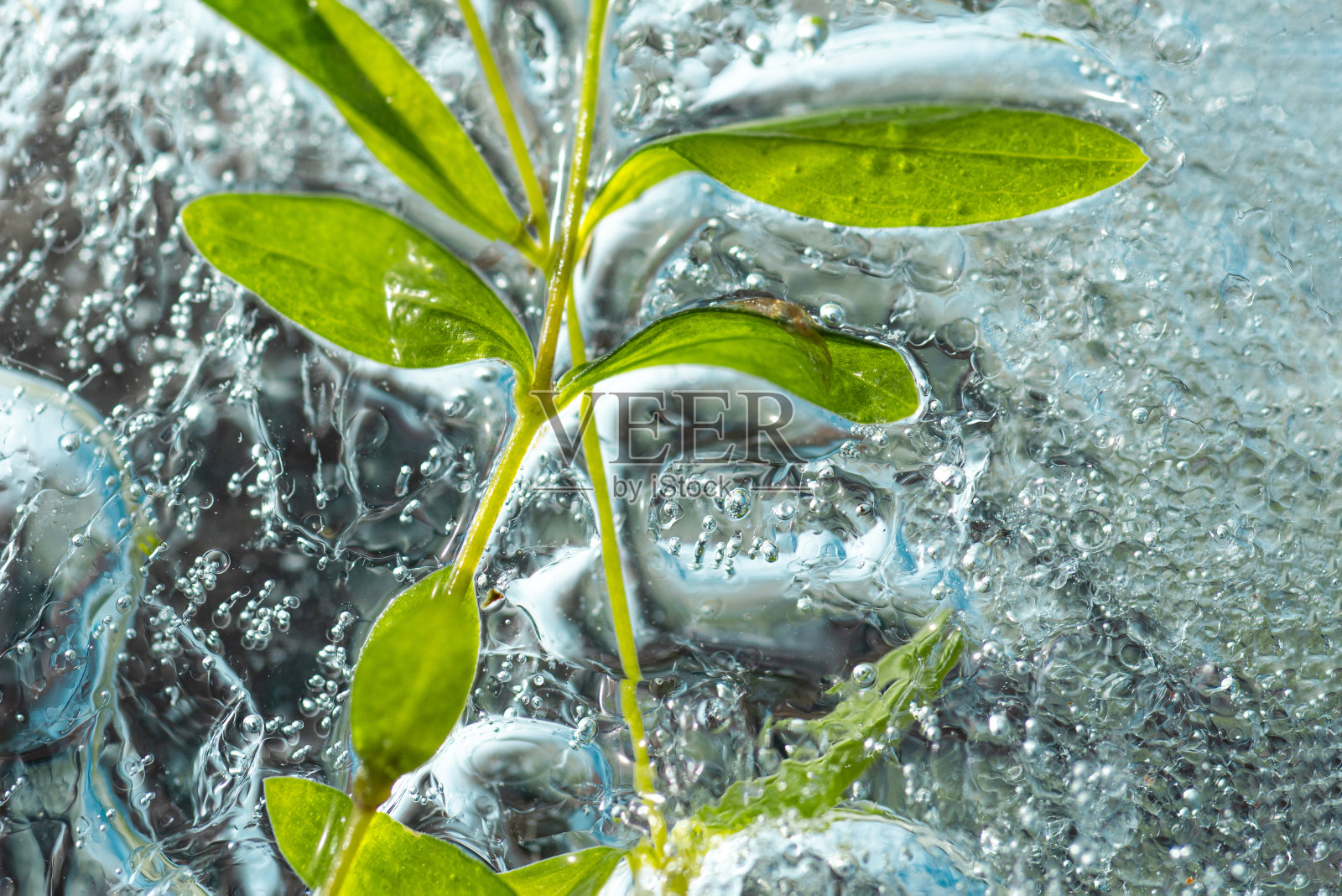摘要:冰中冷冻药材的背景，冷冻治疗护肤的概念照片摄影图片