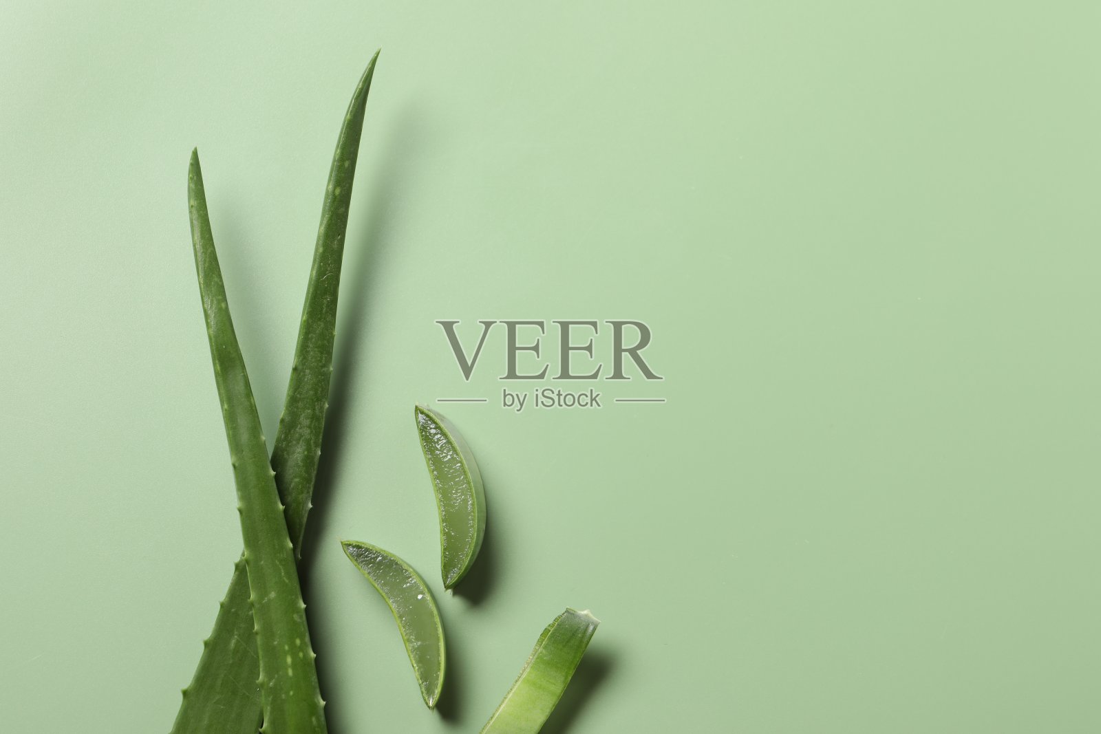 在淡绿色的底色上切下芦荟叶，平铺。文本空间照片摄影图片