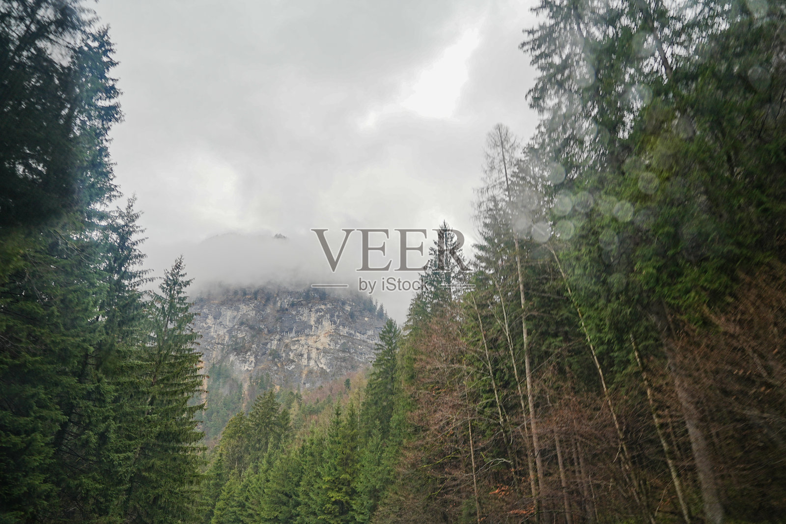 阿尔卑斯山的山雾照片摄影图片