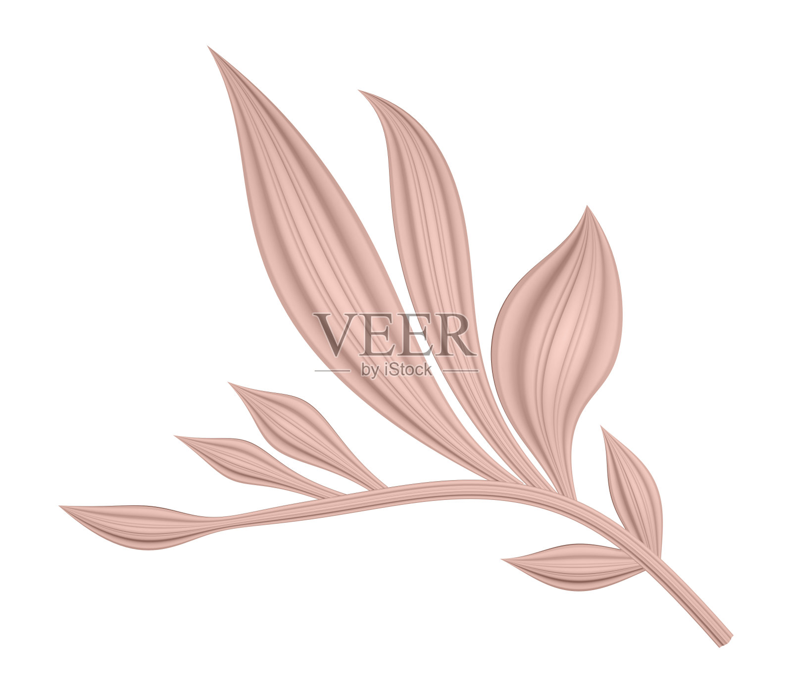 背景上有不同大小叶子的弯曲树枝的3D插图渲染照片摄影图片