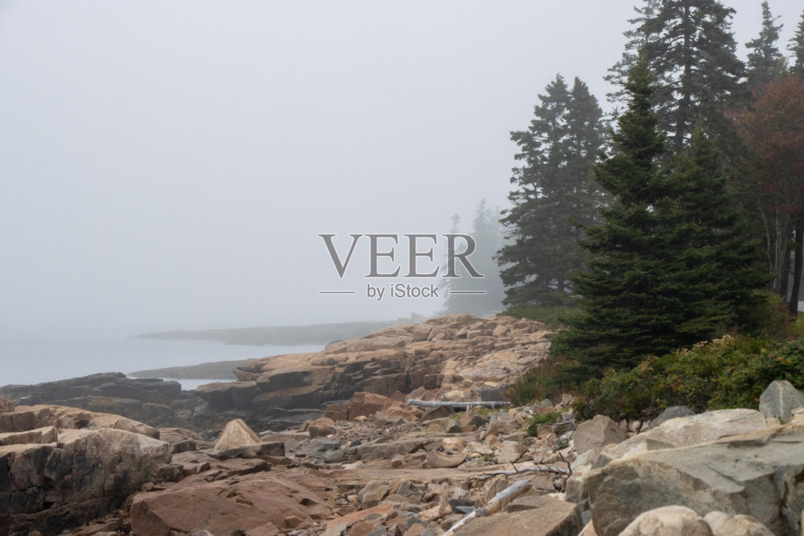 缅因州海岸雾蒙蒙的景象照片摄影图片