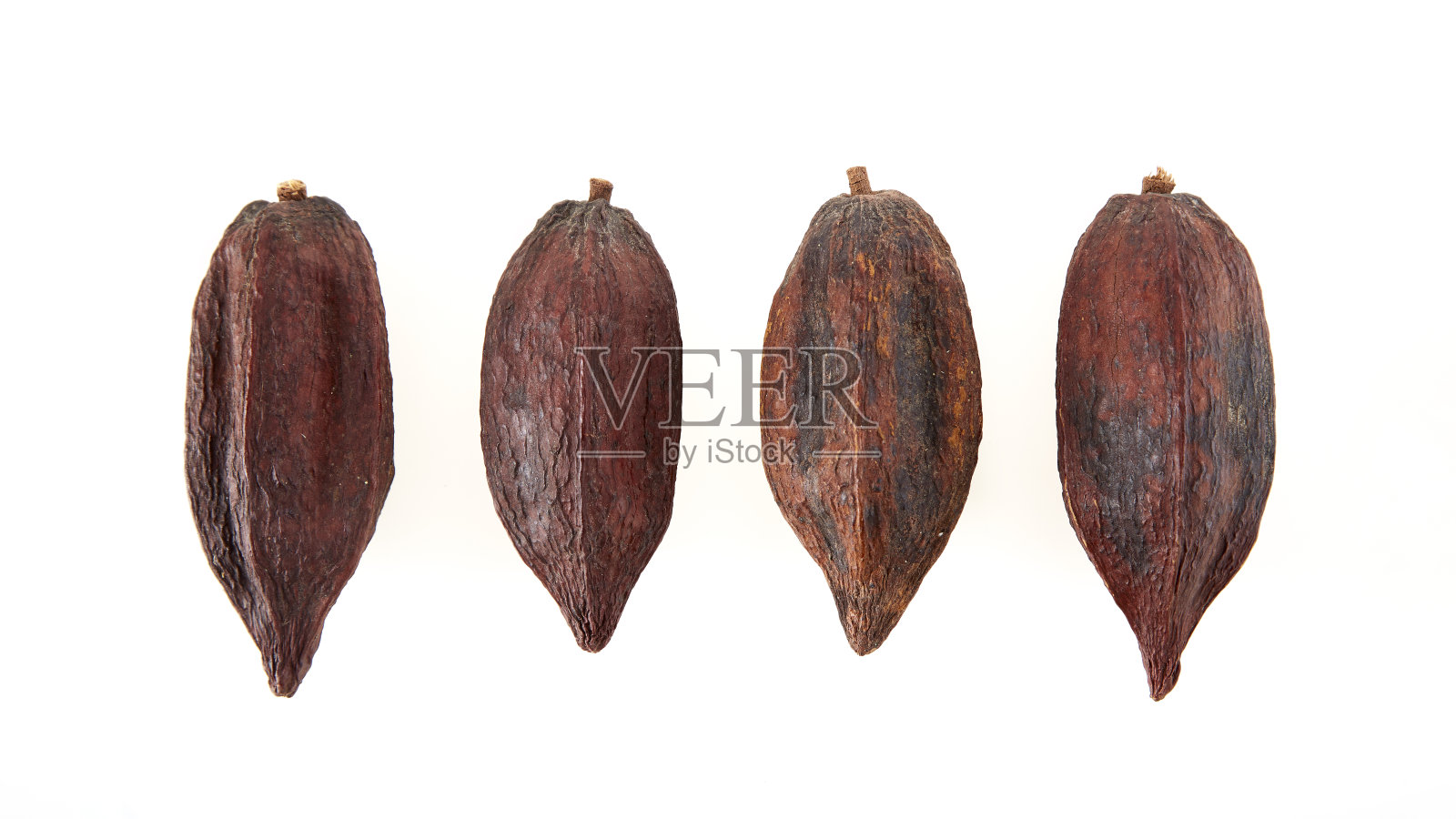 在白色背景上孤立的可可荚照片摄影图片