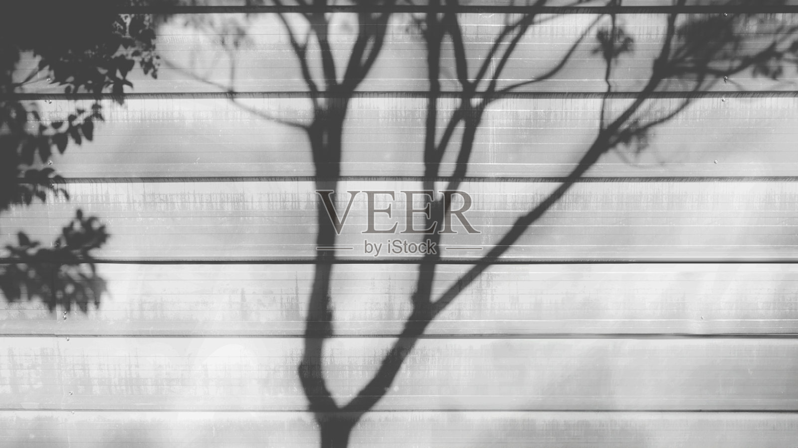 城市容器与自然树荫覆盖照片摄影图片