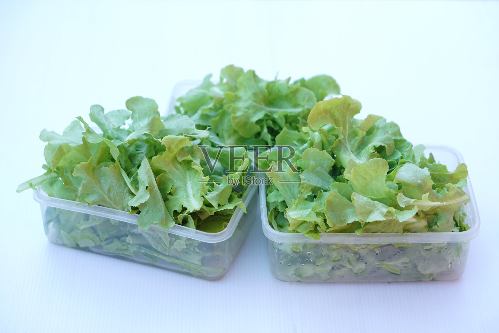 新鲜的绿色有机沙拉蔬菜透明食品盒照片摄影图片