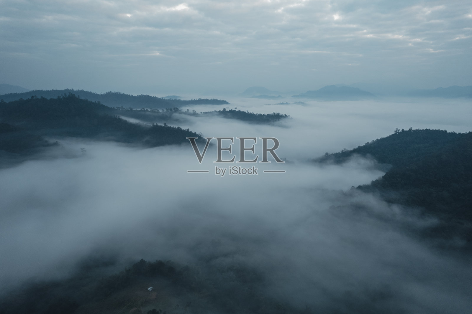 春天前森林里的晨雾照片摄影图片