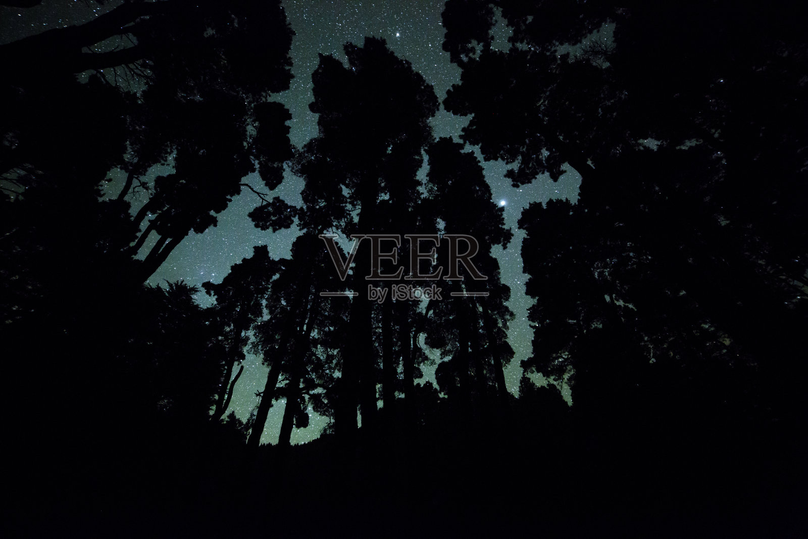 银河系在El Pilar森林，拉帕尔马岛，加那利群岛，西班牙照片摄影图片