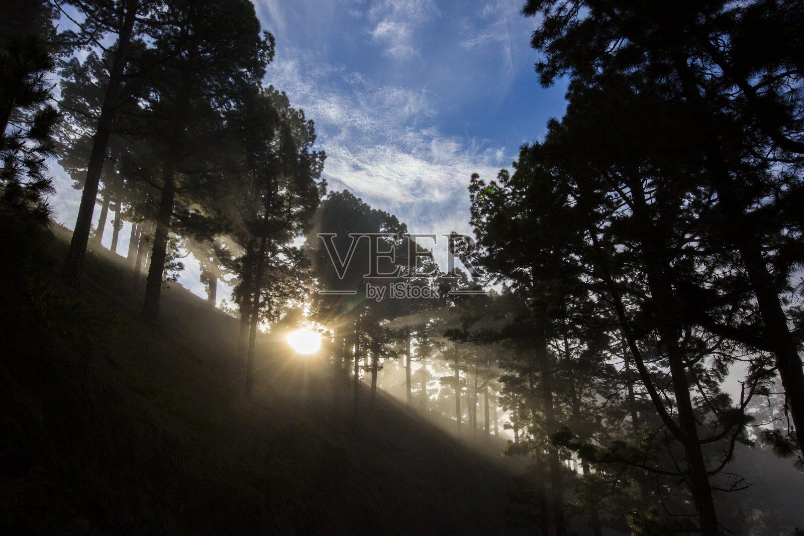 西班牙加那利群岛拉帕尔马岛卡尔德拉德塔布里恩特自然公园的春天日落照片摄影图片