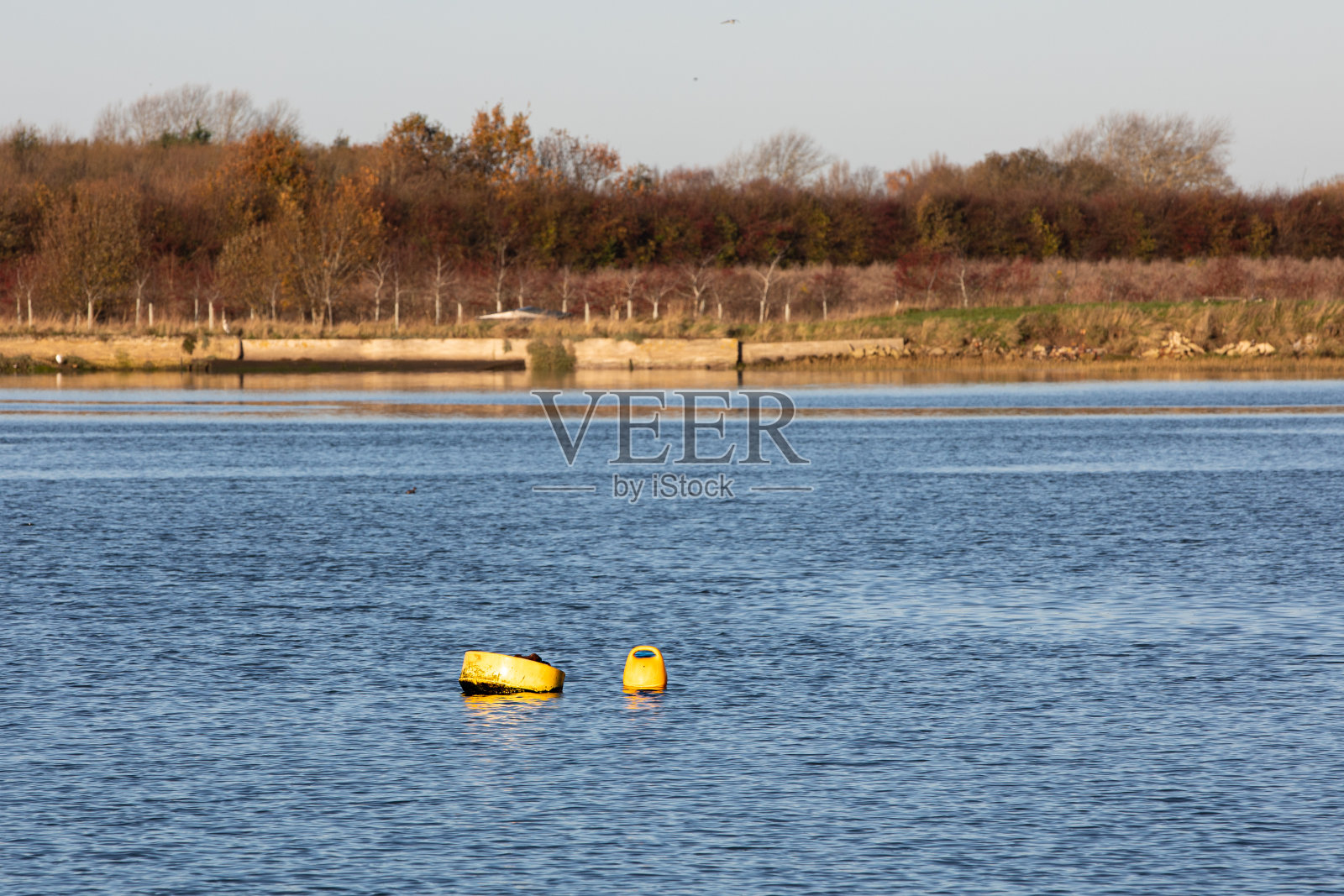在一个阳光明媚的冬日，奇切斯特港的系泊浮标。照片摄影图片