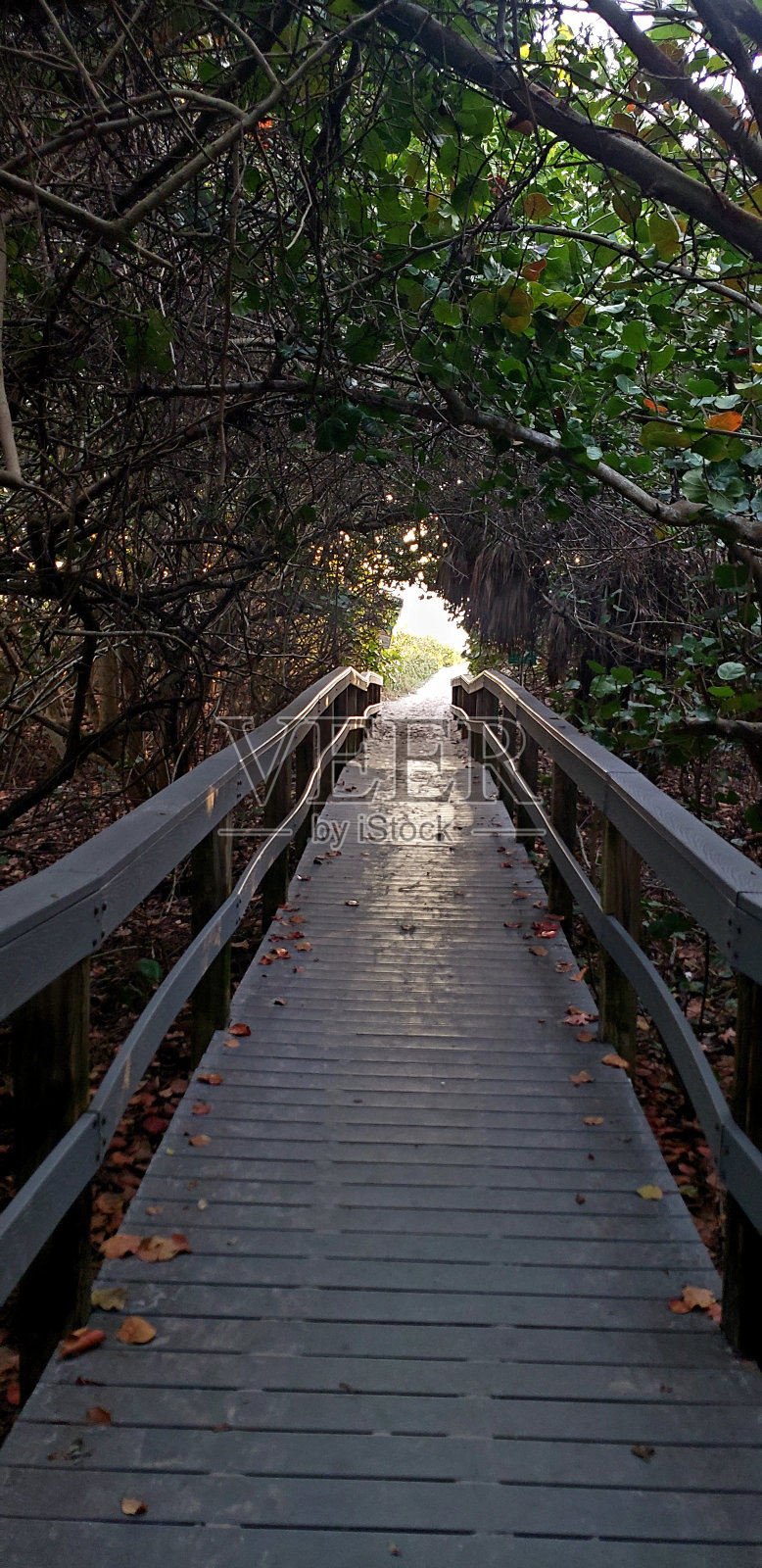海滩木板路照片摄影图片