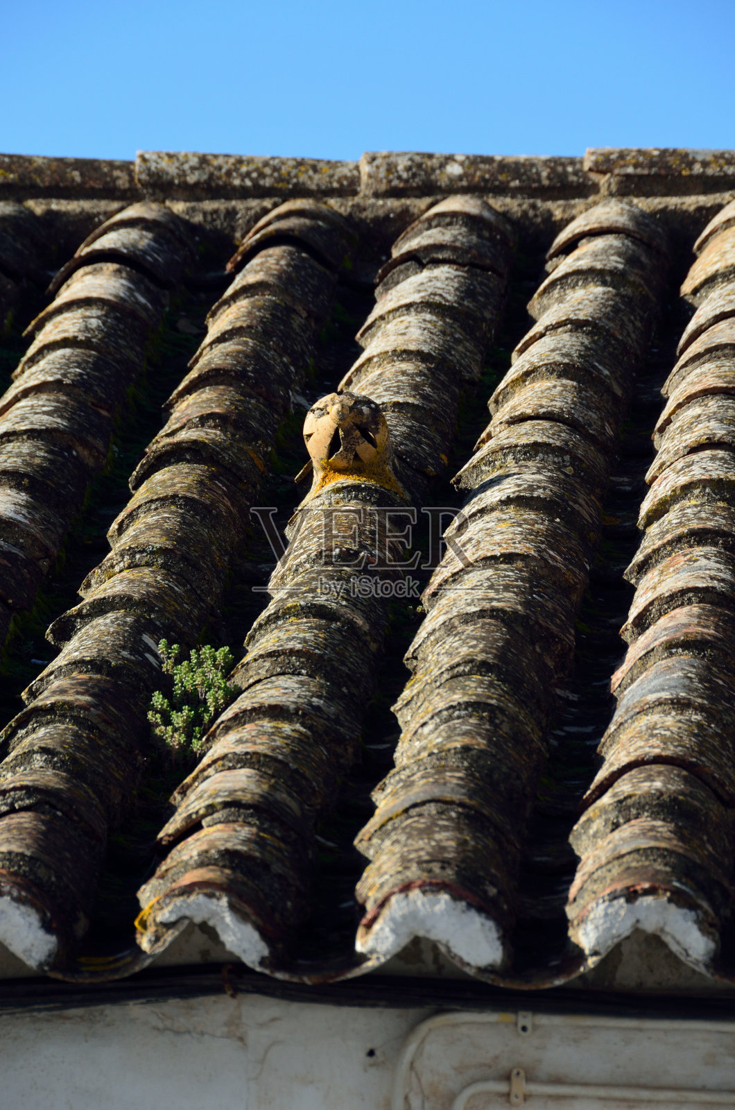 葡萄牙阿尔加维塔维拉的古老屋顶照片摄影图片