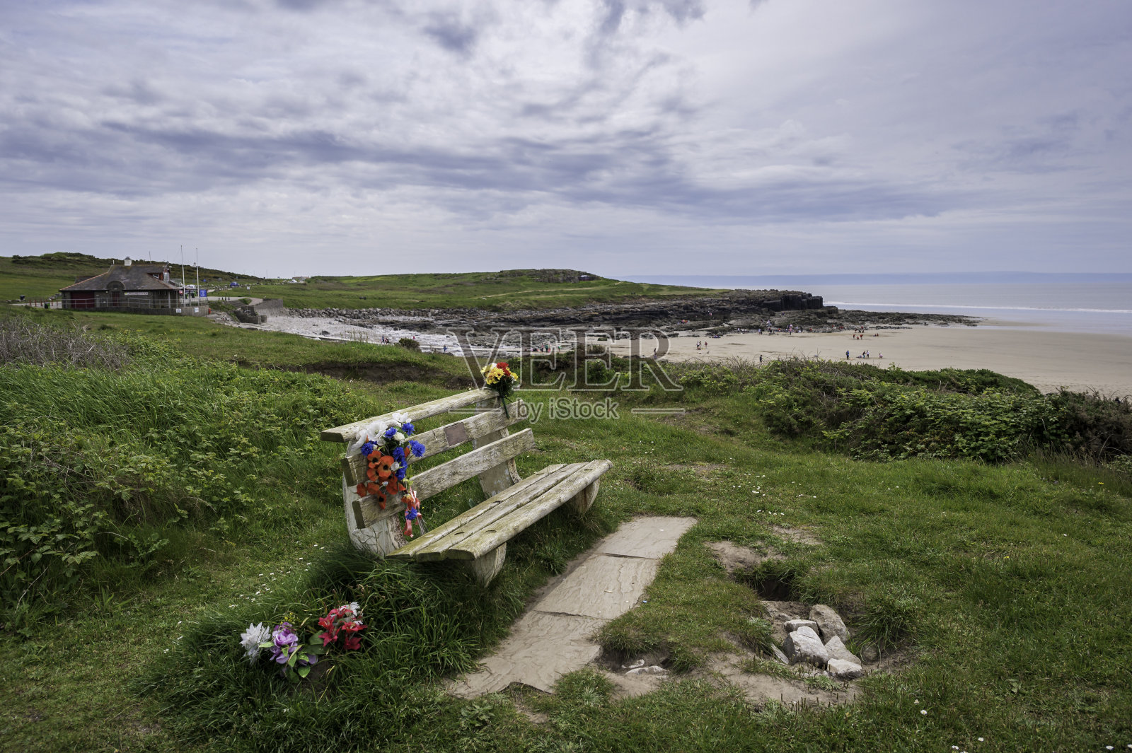俯瞰海滩的长椅，上面摆放着鲜花。照片摄影图片