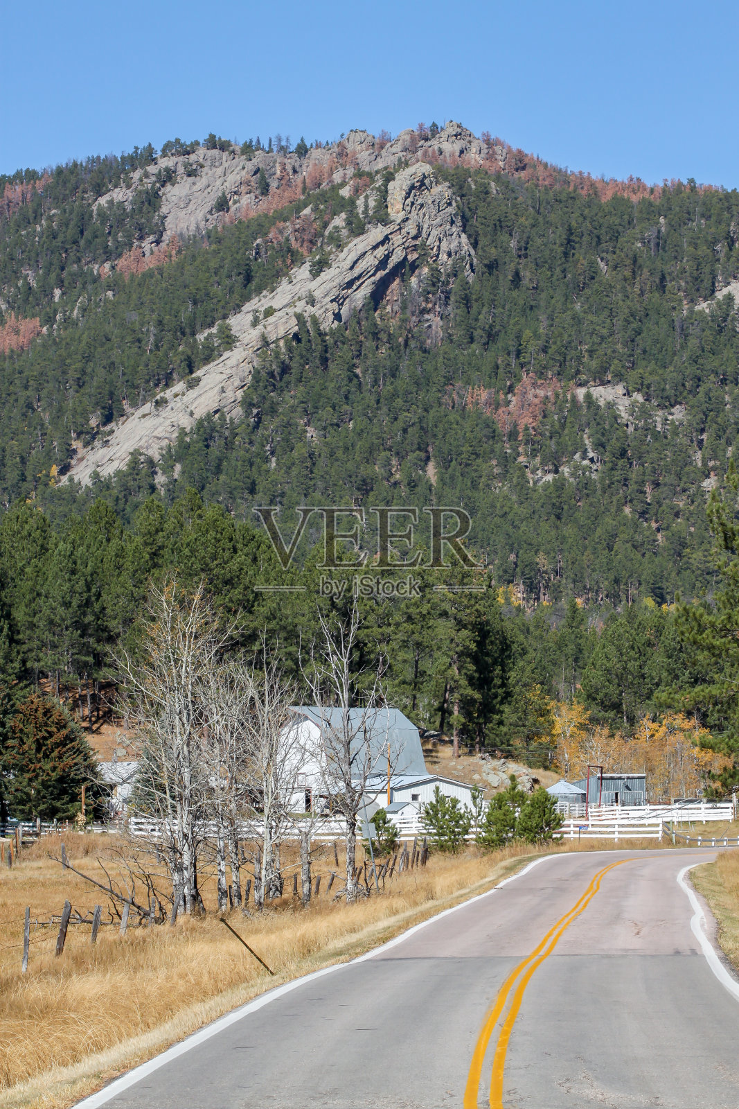 一条穿越南达科他州布莱克山的高速公路。照片摄影图片