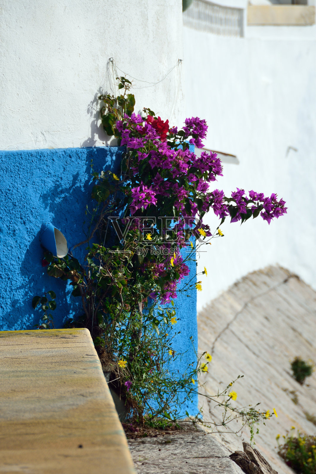 葡萄牙阿尔加维的塔维拉，吉劳河畔的九重葛照片摄影图片