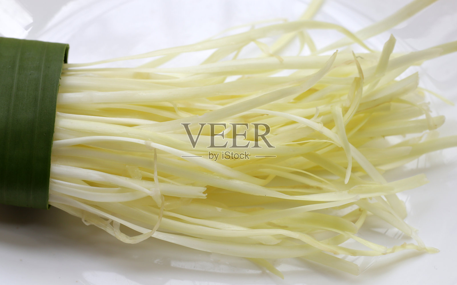 白色背景上的白蒜葱。照片摄影图片