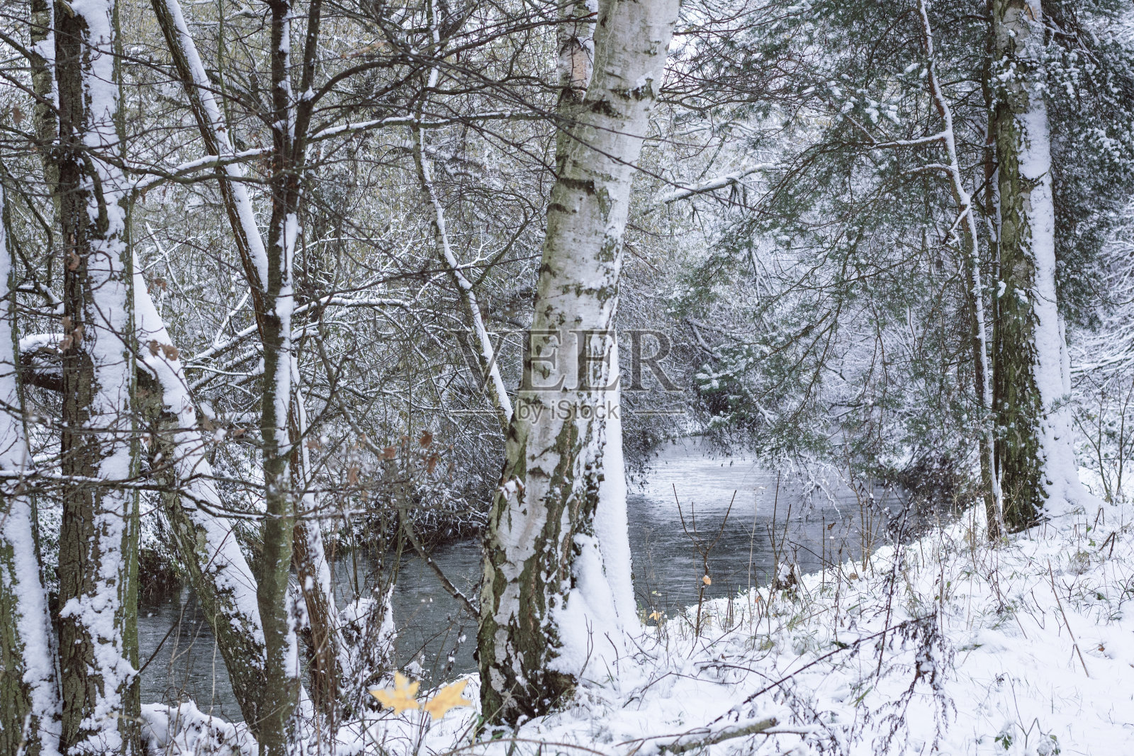河边的雪景照片摄影图片