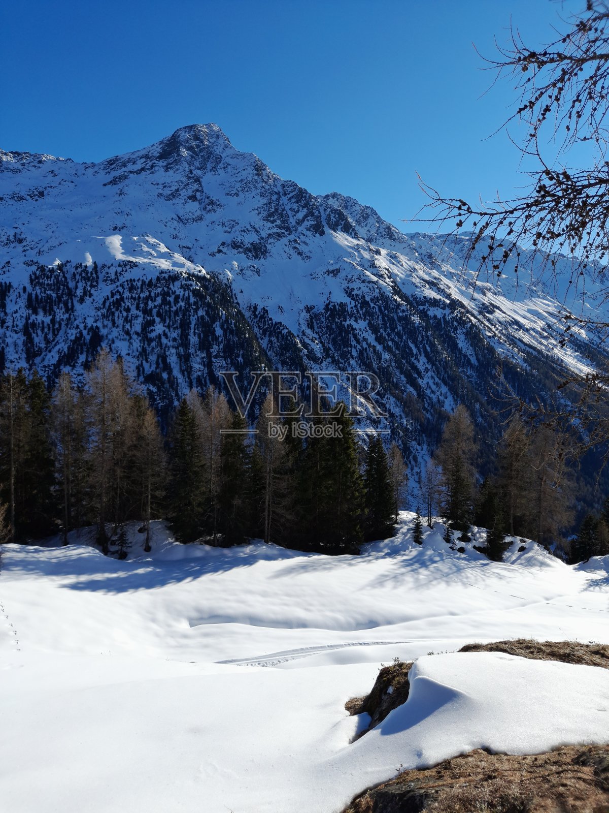 雪的世界照片摄影图片