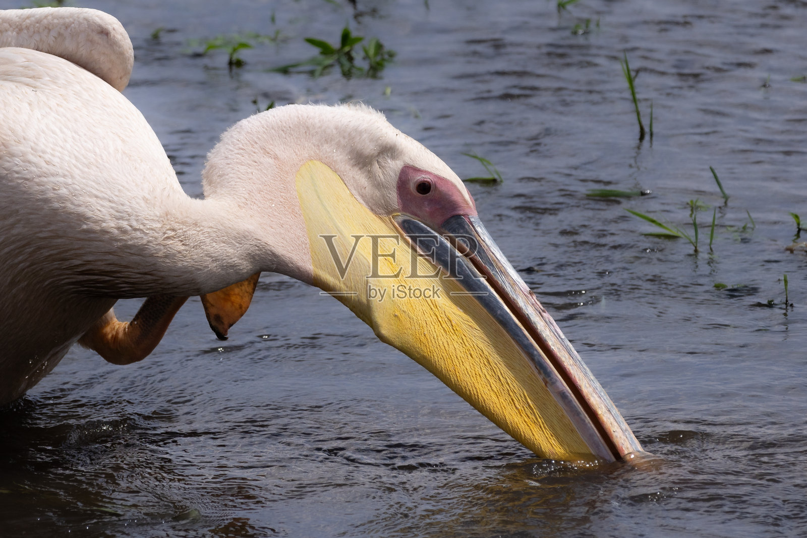 安博塞利国家公园照片摄影图片