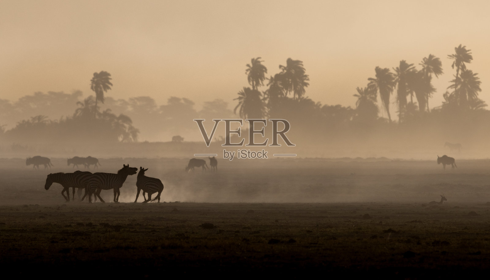 安博塞利国家公园照片摄影图片