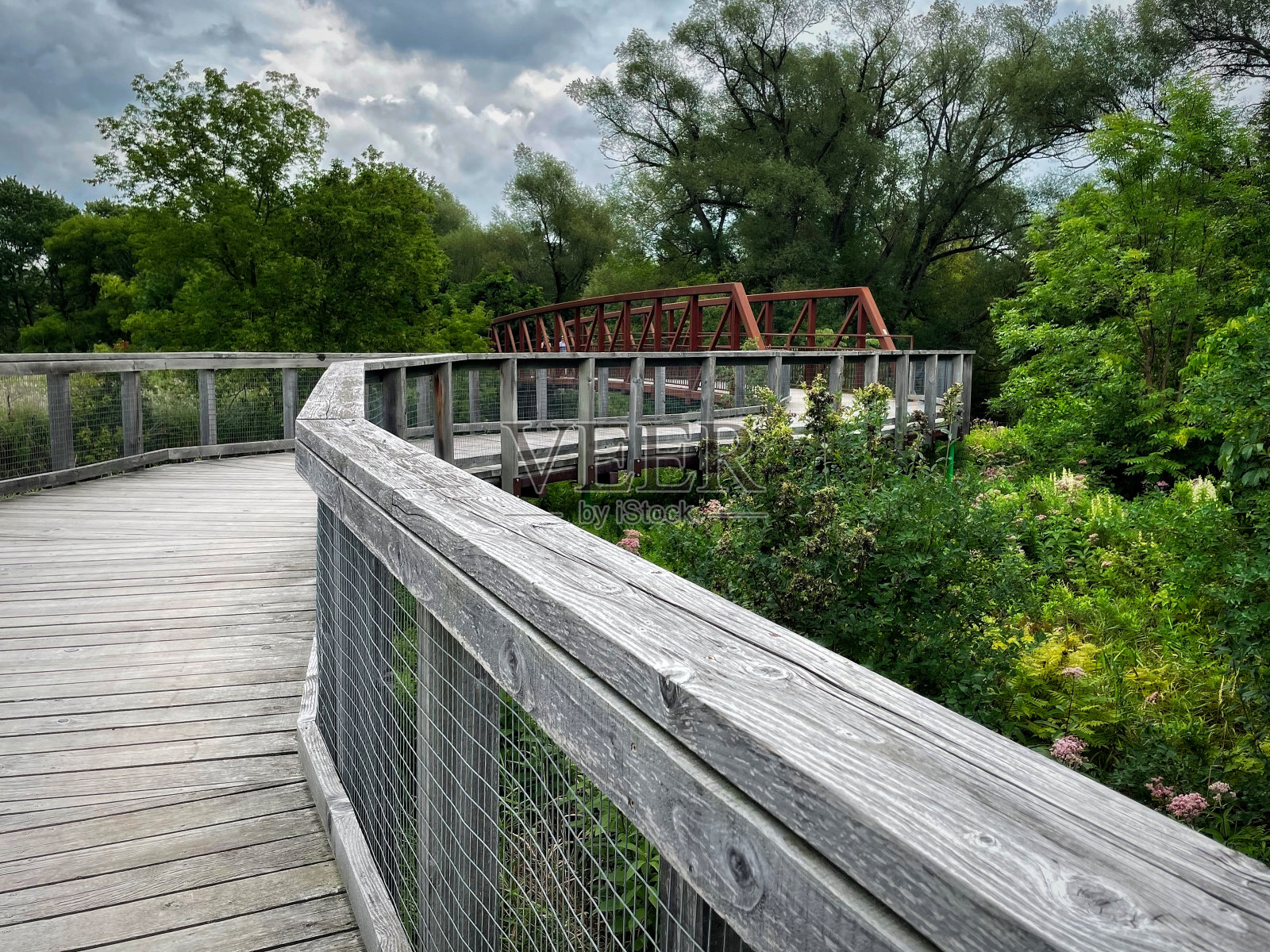 IMG 1606照片摄影图片