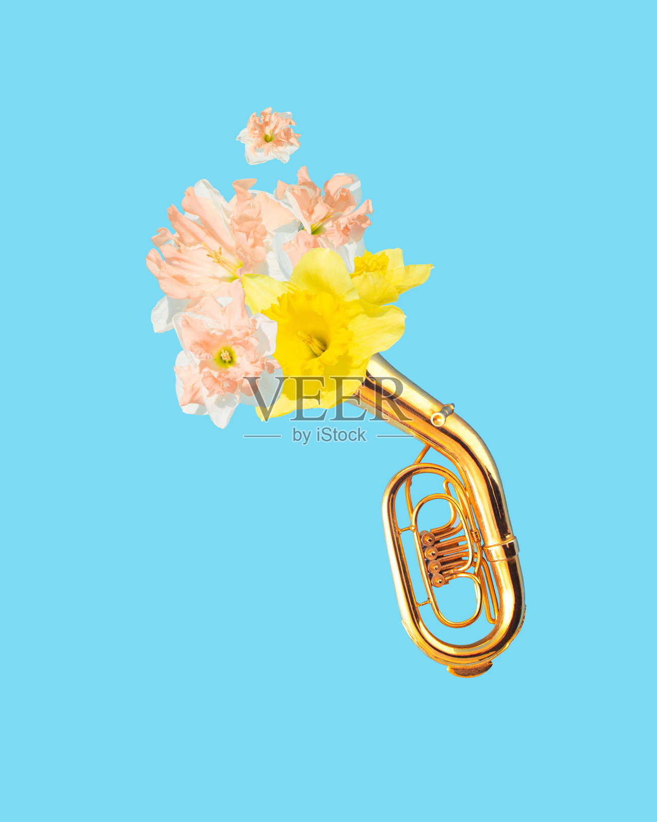 以五彩缤纷的春花为主题的大号乐器创意概念。照片摄影图片