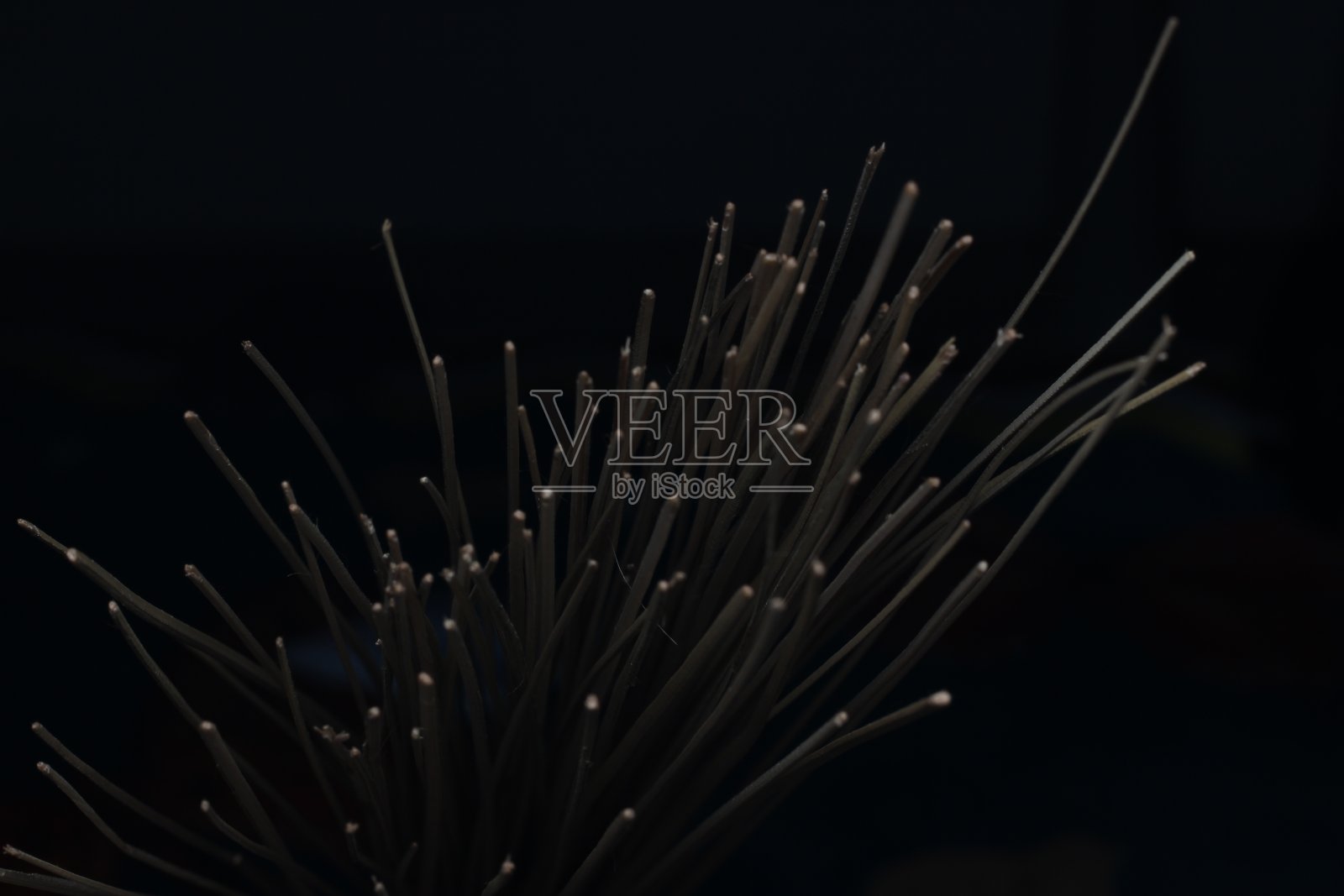 抽象的棕色扫帚尖照片摄影图片