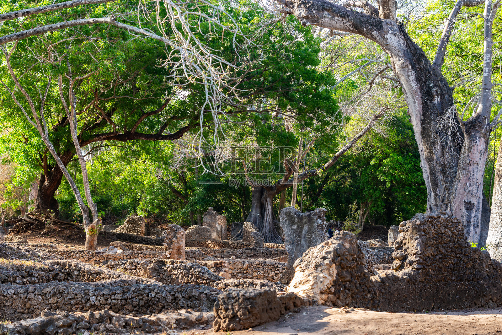 葛地遗址。Watamu,肯尼亚。照片摄影图片