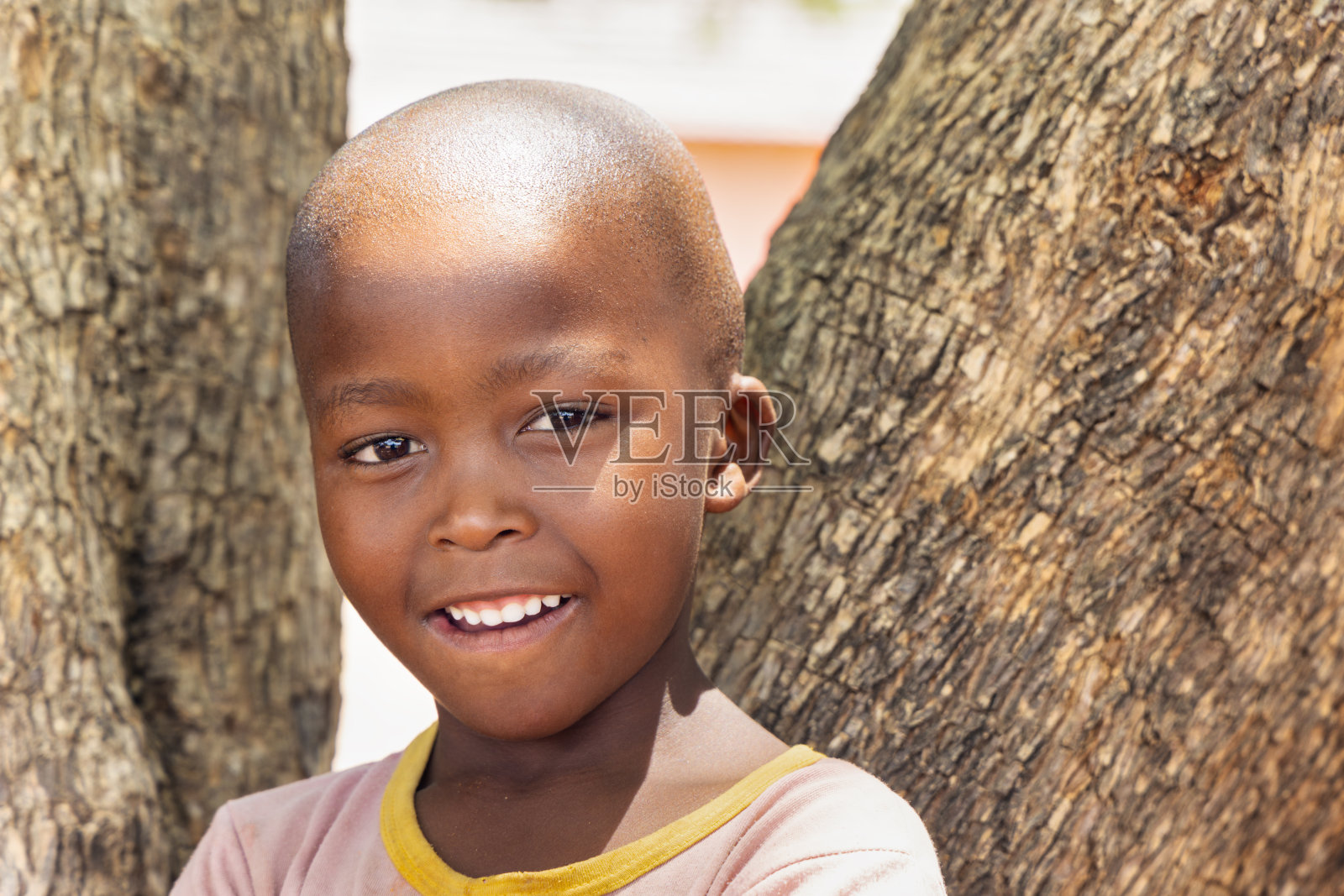 剃着光头的非洲孩子，她站在院子里的树前，在夕阳下的乡里照片摄影图片