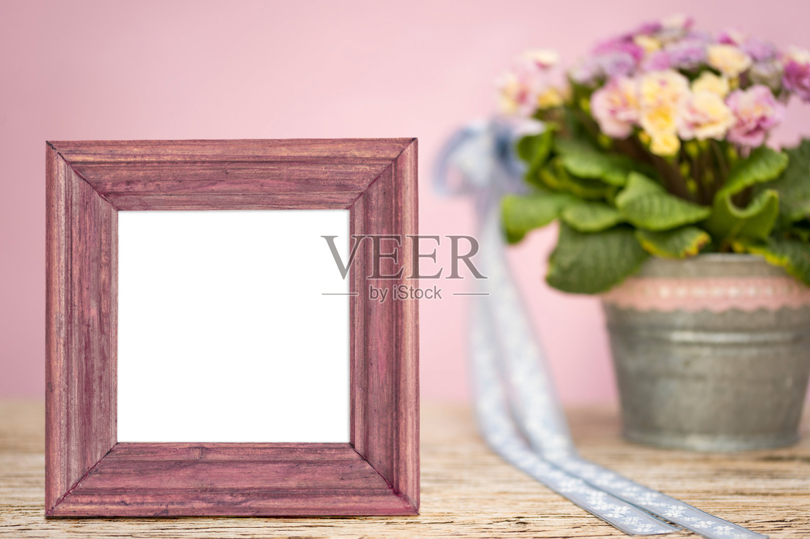 漂亮的春装。木制框架和樱草花。照片摄影图片