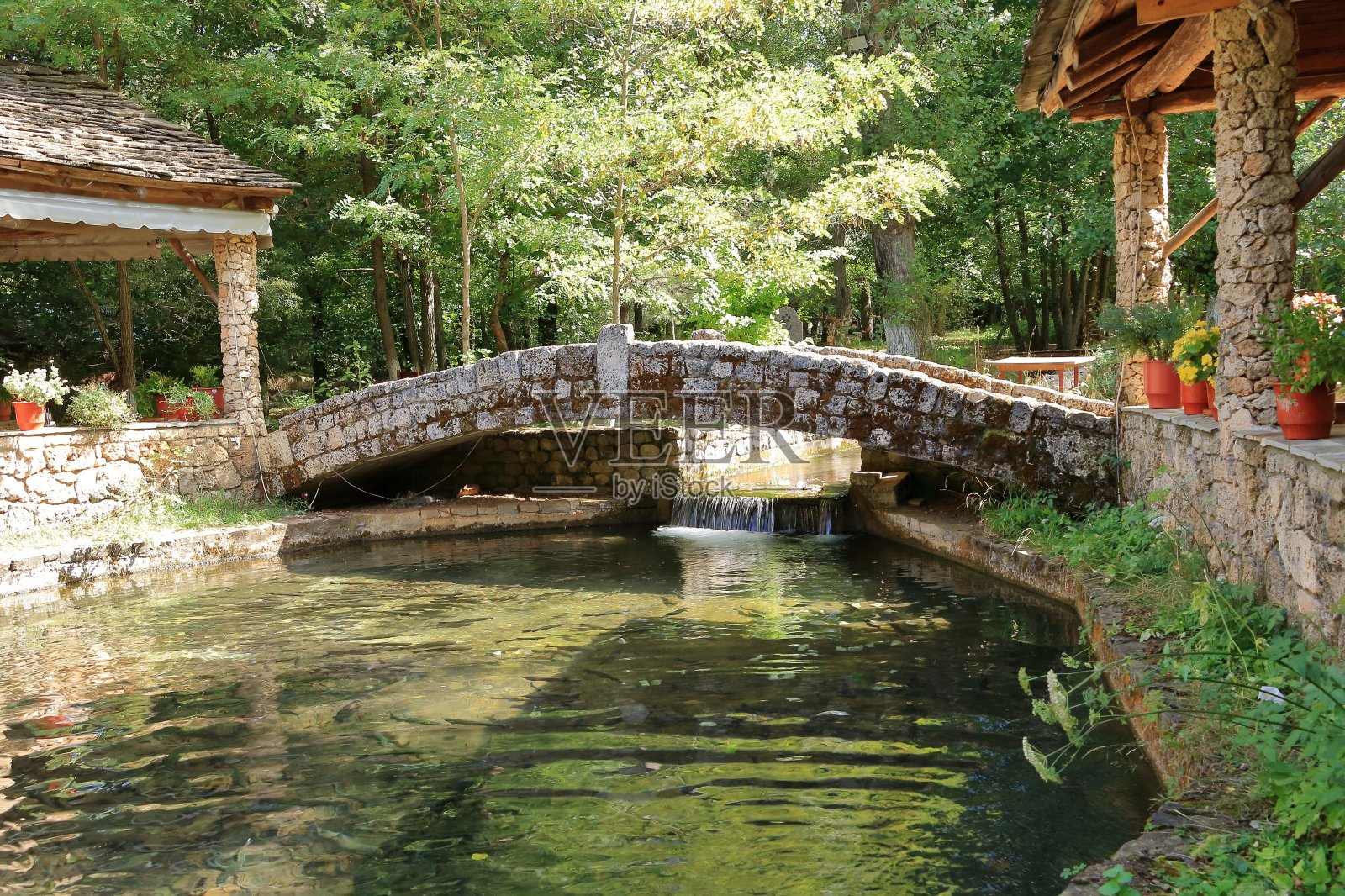 欧洲阿尔巴尼亚的鳟鱼养殖照片摄影图片