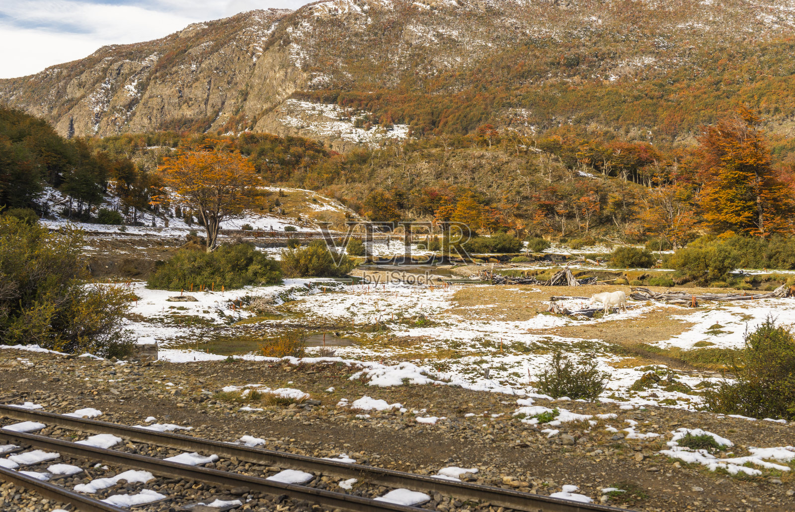 火地岛国家公园，巴塔哥尼亚，阿根廷照片摄影图片