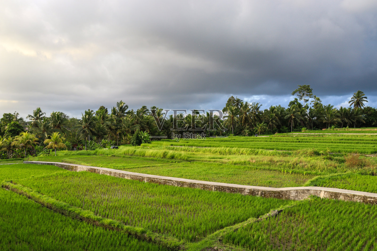 对印度尼西亚巴厘岛的印象照片摄影图片