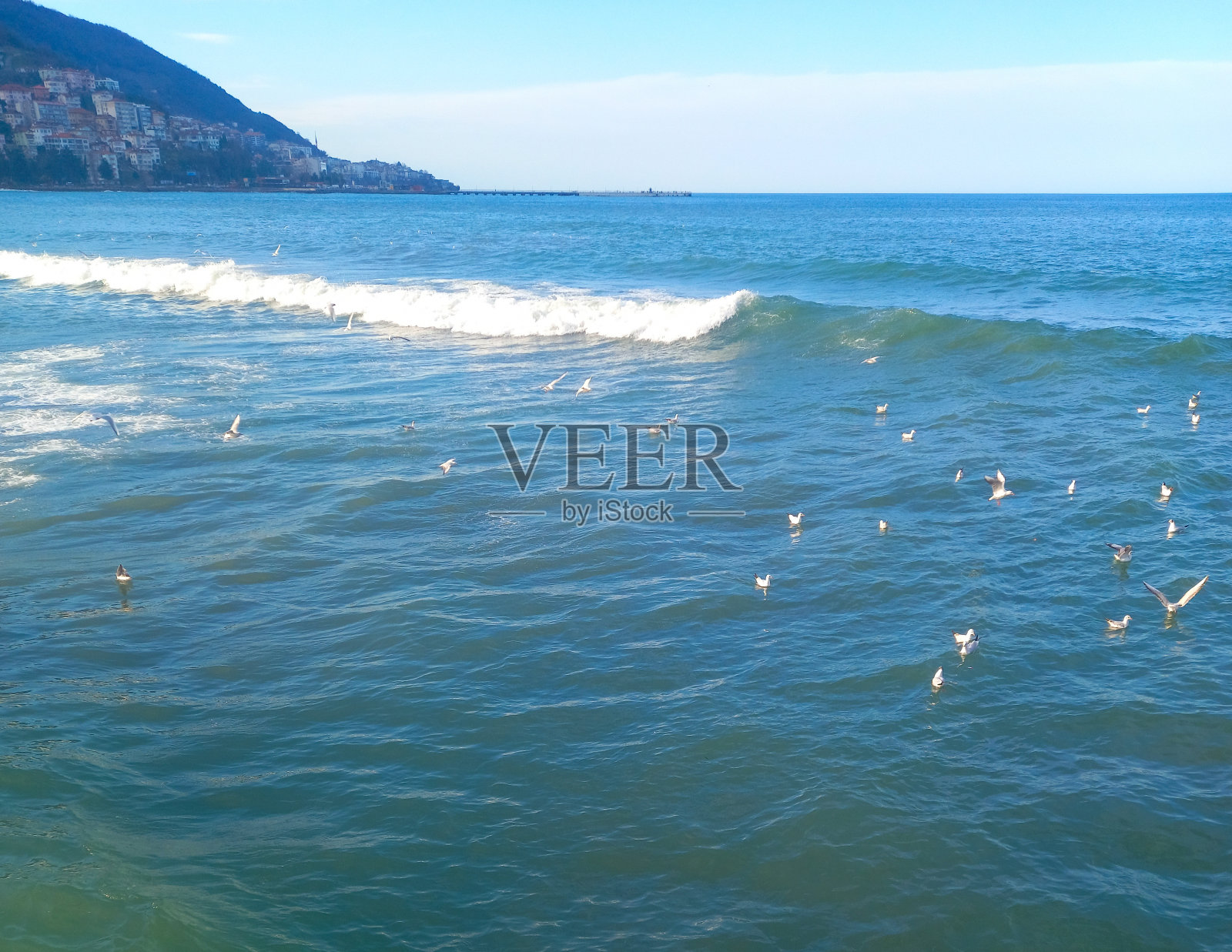 黑海海岸照片摄影图片