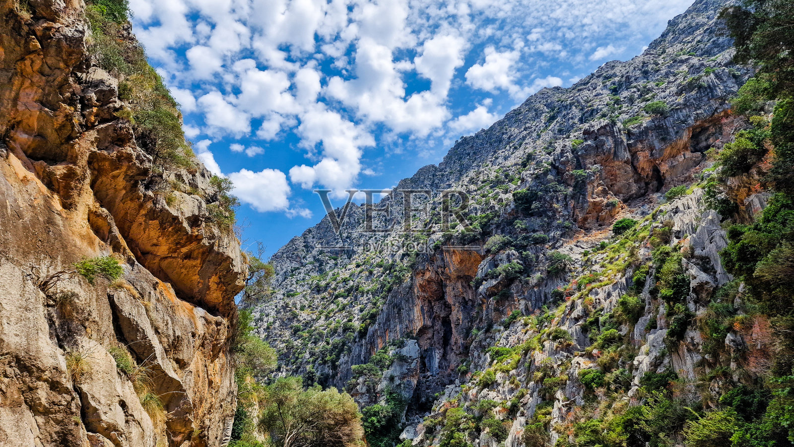 西班牙马略卡岛萨卡洛布拉惊人的悬崖照片摄影图片