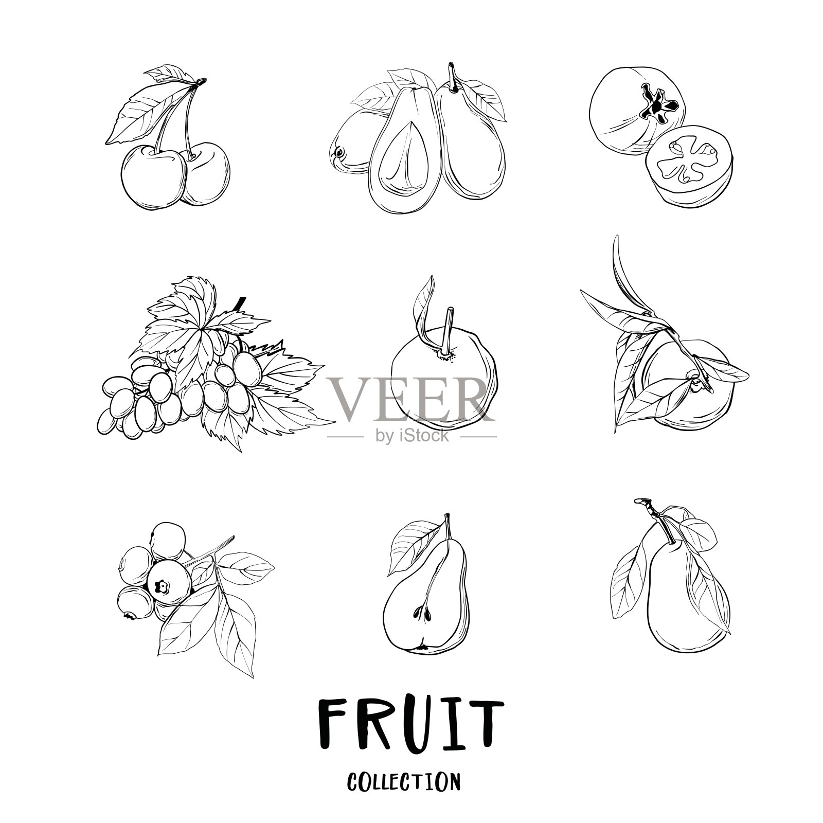矢量素描水果和浆果图标集。收集手绘农产品用于餐厅菜单，市场标签。插画图片素材