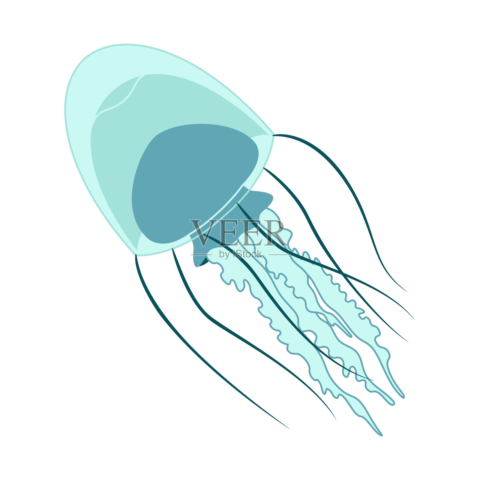 海蜇时尚扁平款式。插画图片素材