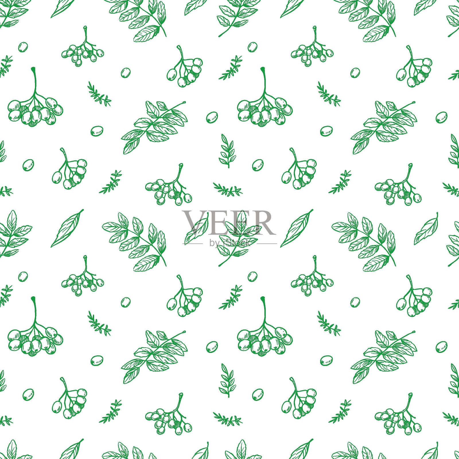 红色rowan无缝图案，浆果和叶子，矢量素描插图，插画图片素材