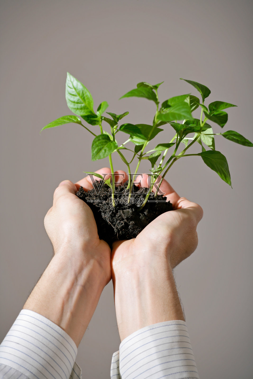 业务增长照片摄影图片