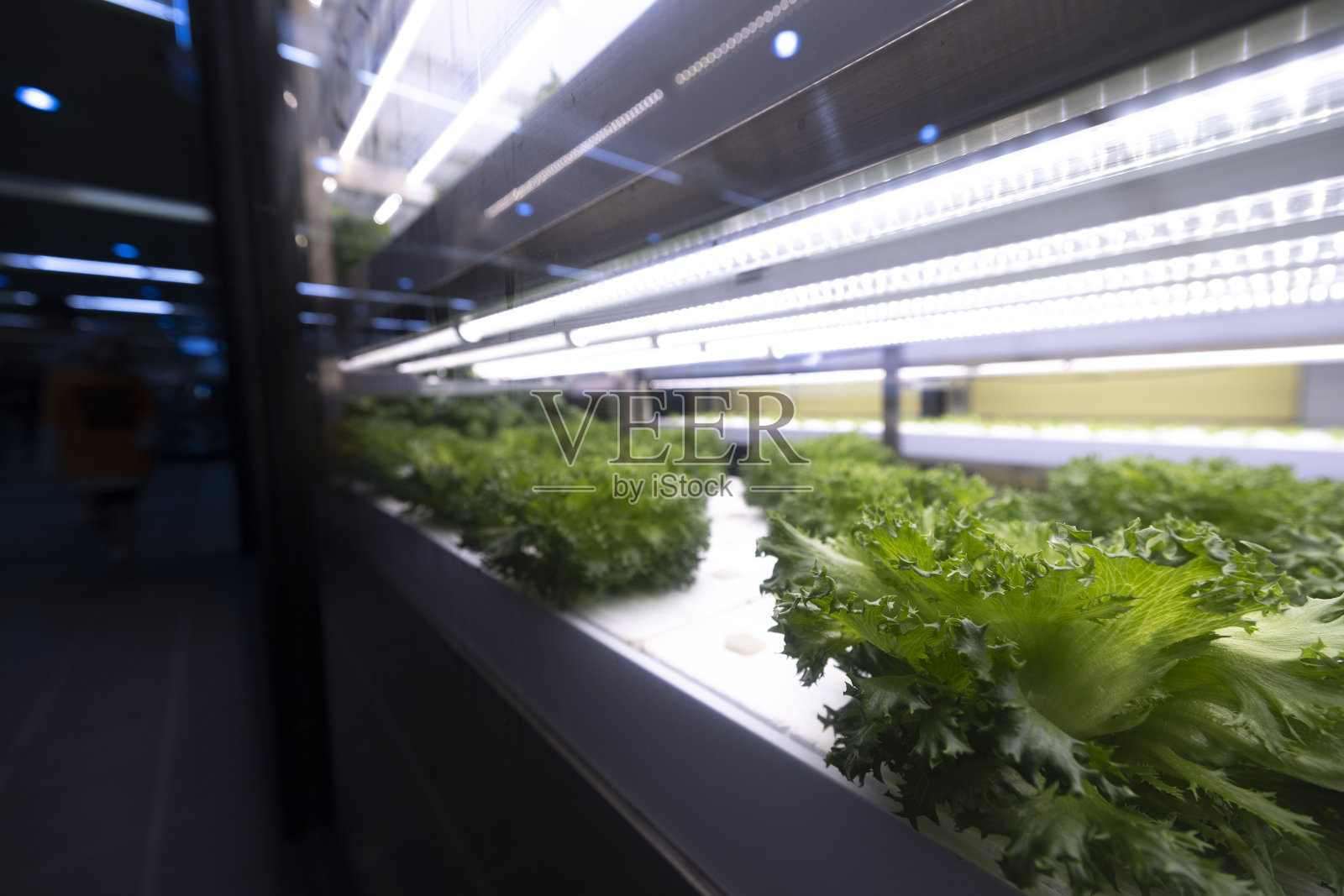 现代农业照片摄影图片