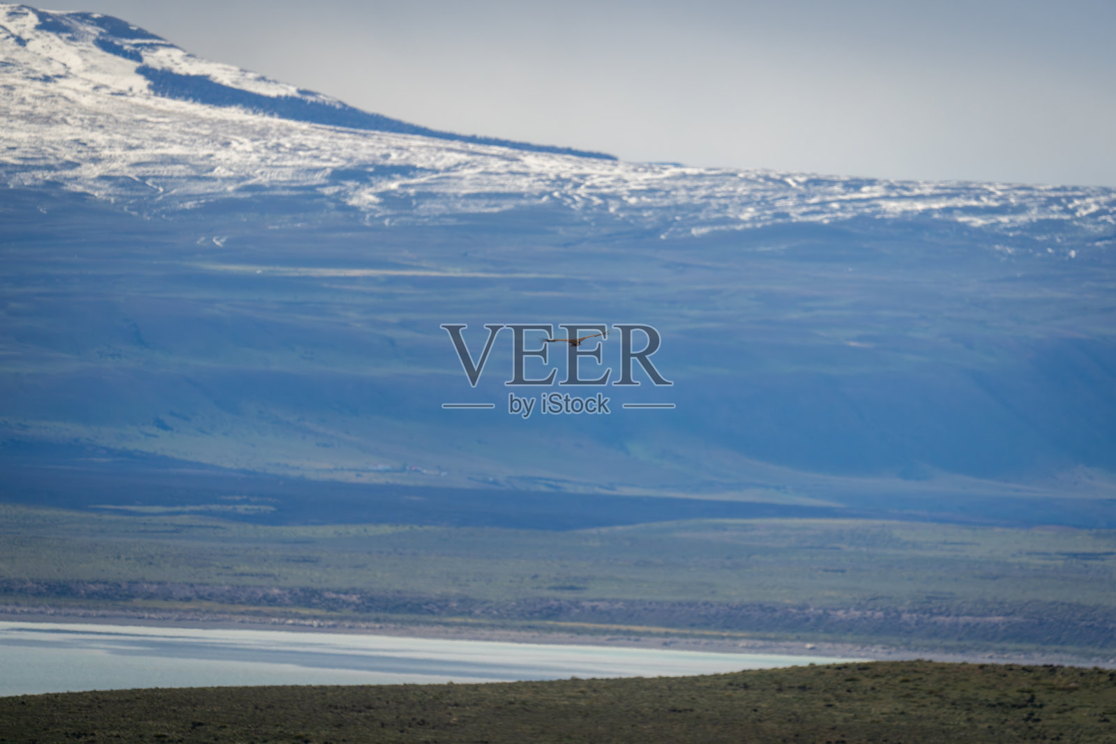 安第斯秃鹰飞过山脉附近的湖泊照片摄影图片