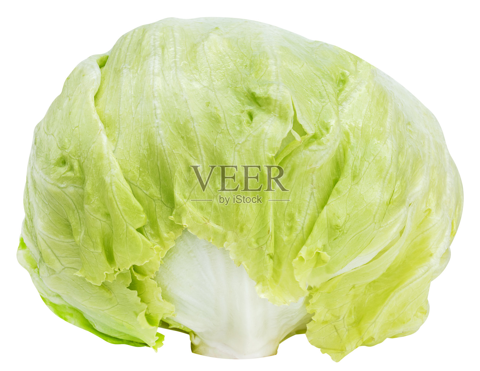 在白色背景上孤立的脆头莴苣蔬菜与修剪路径照片摄影图片