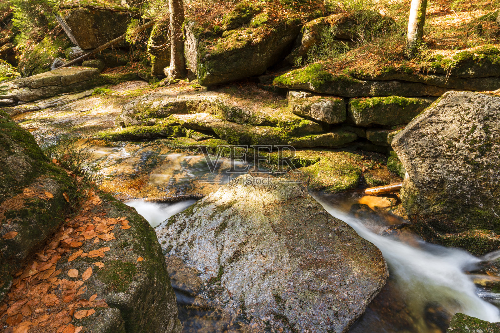 一个美丽的景色，一个浪漫的溪流在一个狂野的山谷照片摄影图片